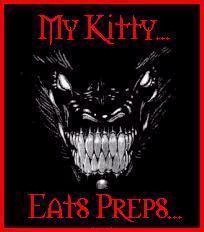 mykittyeatspreps.jpg